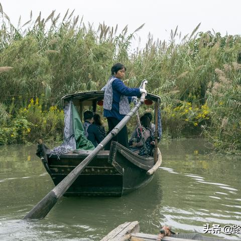 常熟沙家浜景区最新票价揭秘