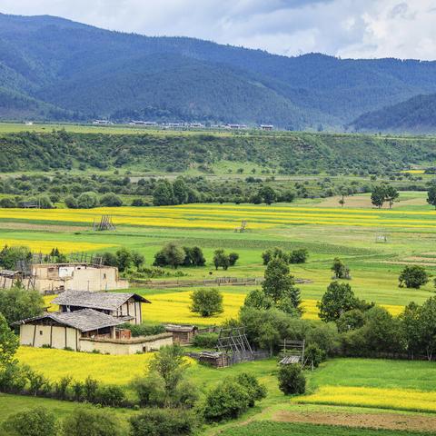 虎跳峡最新动态，壮丽景色与旅游新发现