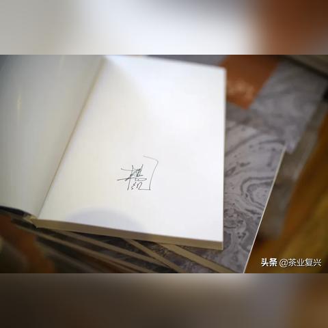 普洱茶的魅力与最新新闻