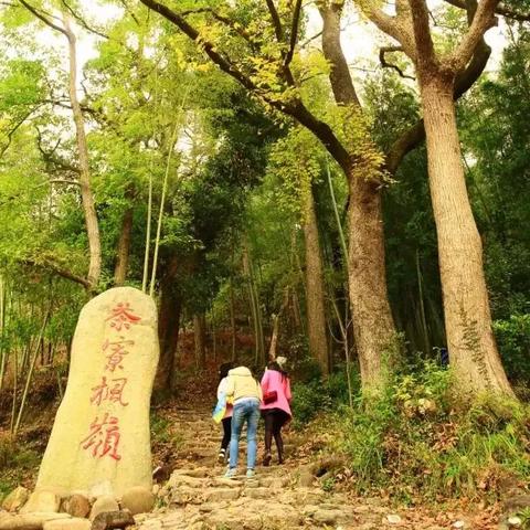 永丰最新天气，气候变迁与日常生活的影响